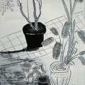 B012 The Potted plants in Courtyard