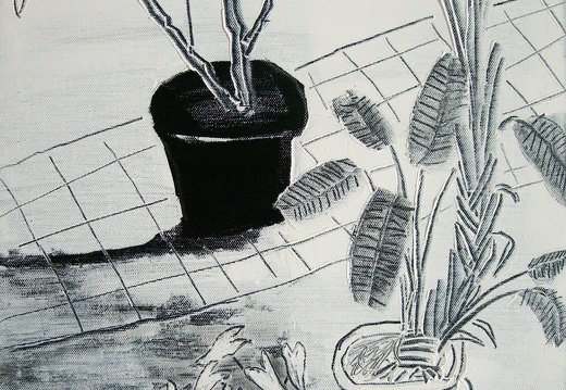 B012 The Potted plants in Courtyard