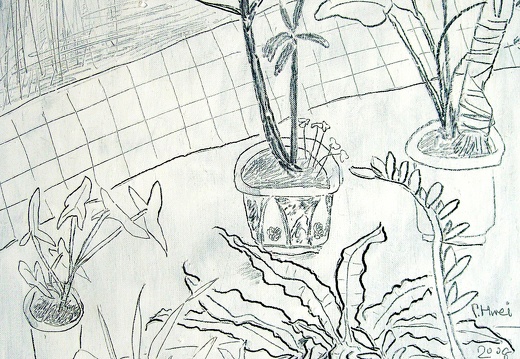 B005 The Scenery in Courtyard II