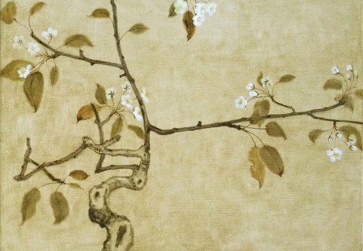 T006 Pear Blossoms, imitating the Song Dynasty style I