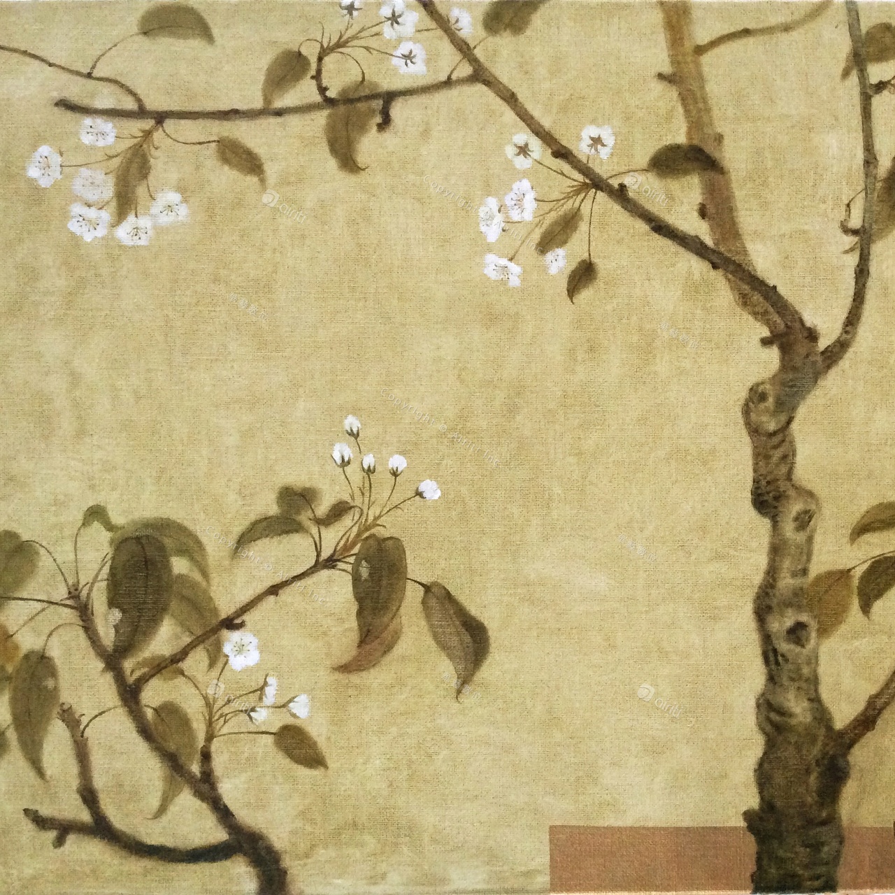T007 Pear Blossoms, imitating the Song Dynasty style II