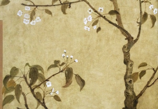 T007 Pear Blossoms, imitating the Song Dynasty style II