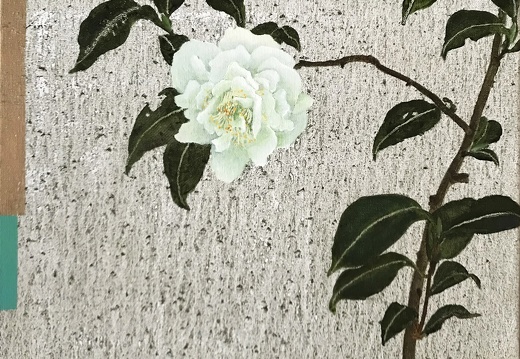T021 White Camellia