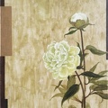 T008 The Red & White peony, Iimitate the Song Dynasty Style II