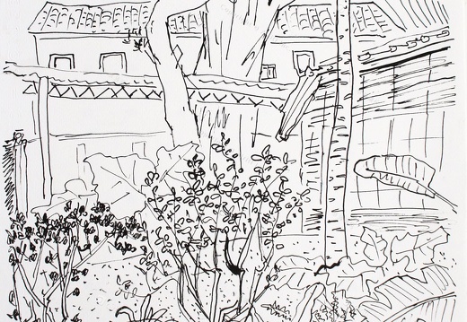 D011 Courtyard- Pen Drawing