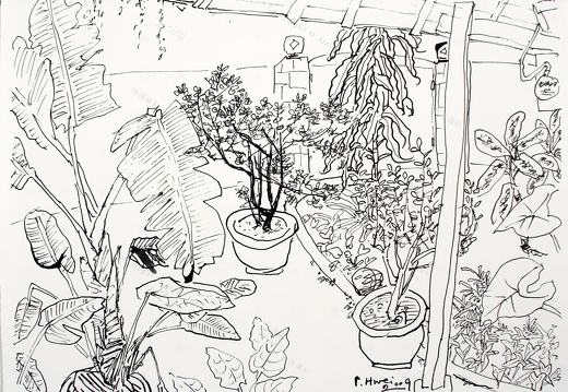 D013 Courtyard- Pen Drawing