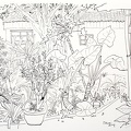 D015 Courtyard- Pen Drawing