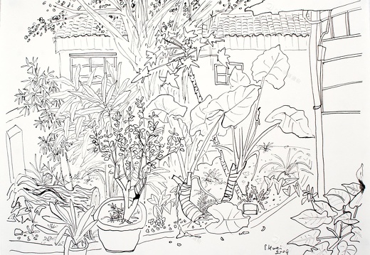 D015 Courtyard- Pen Drawing