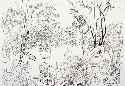 D017 Courtyard- Pen Drawing