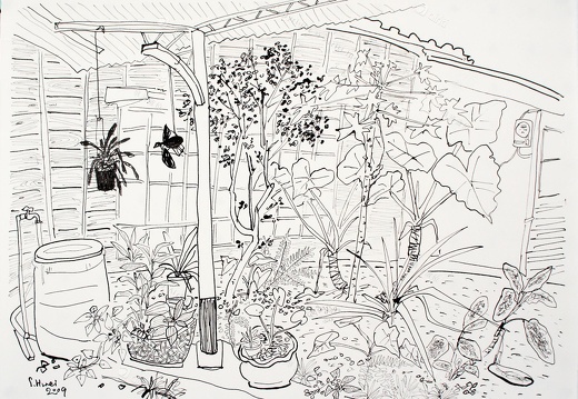 D021 Courtyard- Pen Drawing