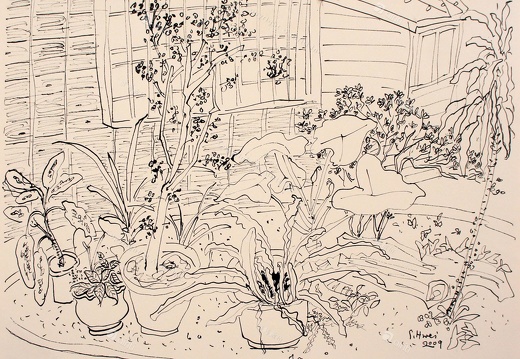 D022 Courtyard- Pen Drawing