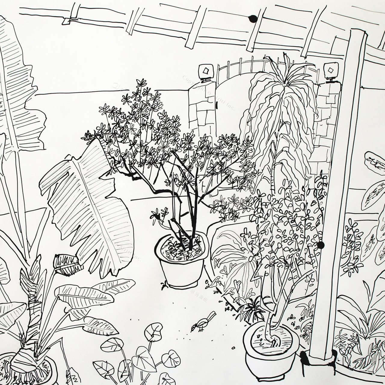 D026 Courtyard- Pen Drawing