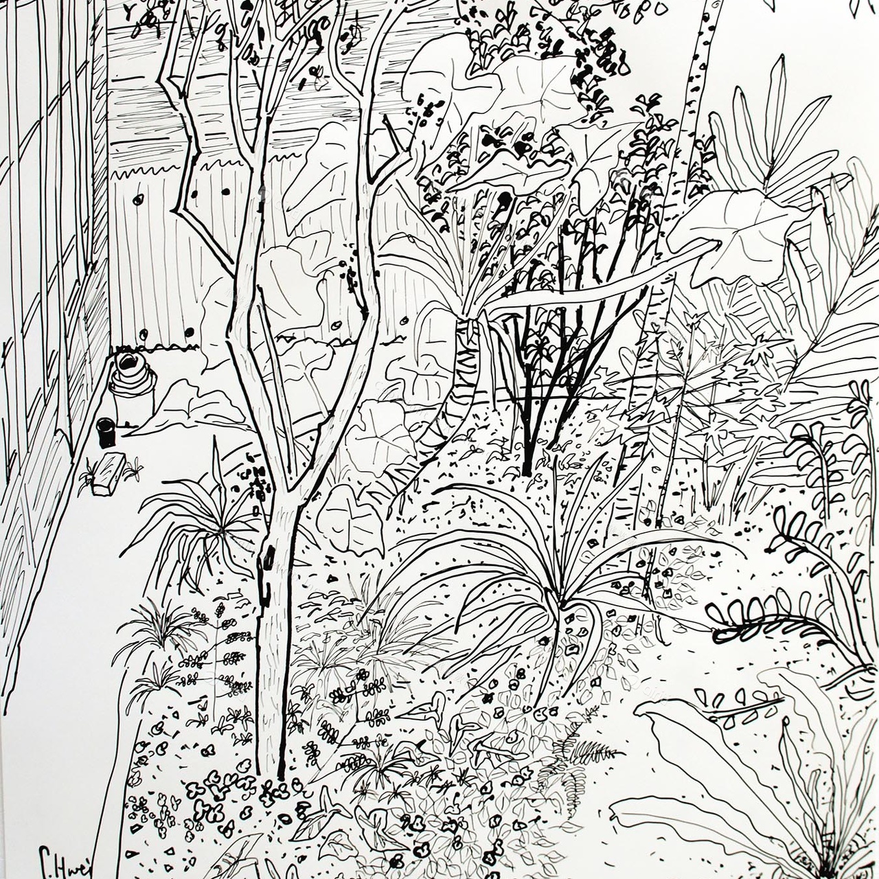 D029 Courtyard- Pen Drawing