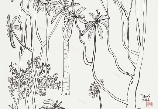 D040 老院子–素描