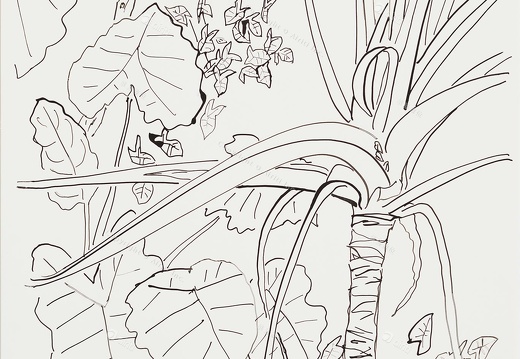 D047 老院子–素描