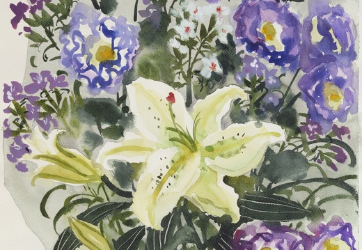 W056 Campanulaceae and Lily