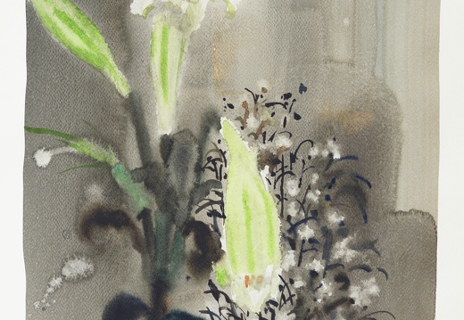 W048 II Lily in a Peace Day II