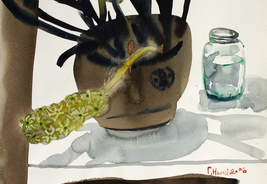 W044 麗日風信子