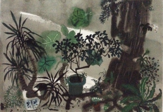 W038 The Summer Shade