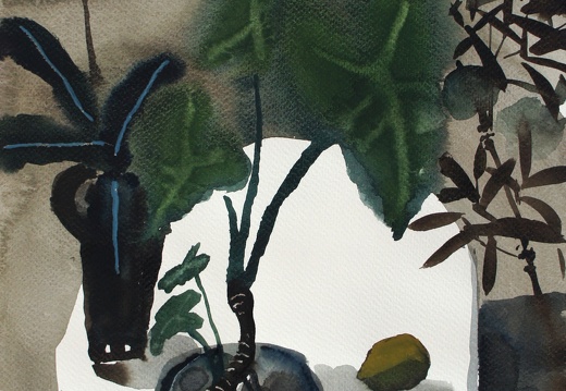 W037 Potted Plants on the Table