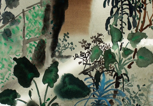 W036 The Plants in Courtyard