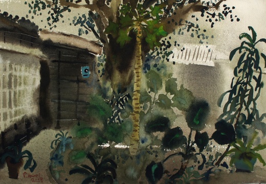 W034 The Old Tree in Courtyard