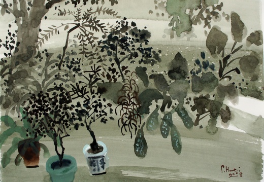 W028 The Potted Plants in Courtyard