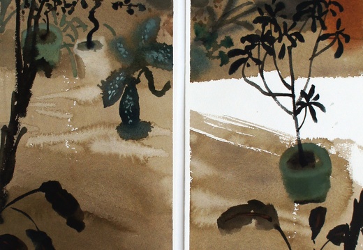 W024 Afternoon in the Courtyard