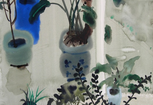 W017 Conner in Courtyard