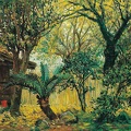 007 Old Trees in Courtyard