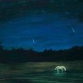 006 Starry Night