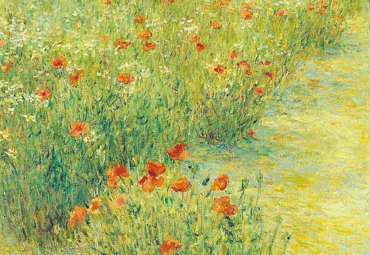 004 Poppy II