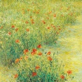 004 Poppy II