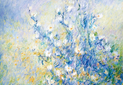 003 Sping Fog