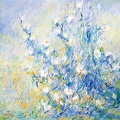 003 Sping Fog