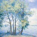 002 Summer Lake