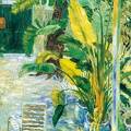 009 Clair in Courtyard