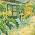 005 Pigeons in Courtyard