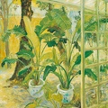 001 Early Summer in Courtyard