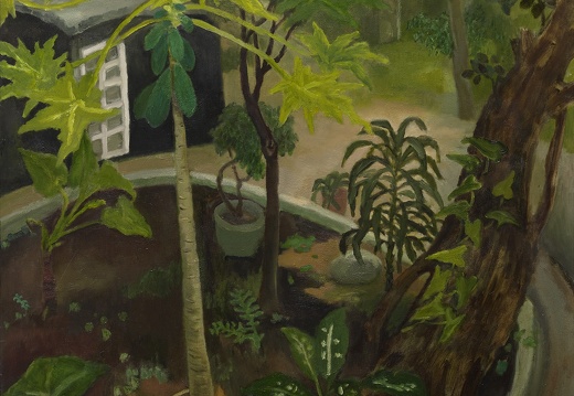 020-1 Papaya Tree in Courtyard - I