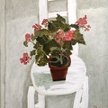 T029 Sunny Day - Begonia