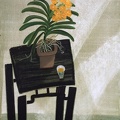 T030 Blooming - Ascocenda