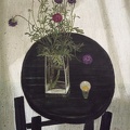 T036 Beautiful Moments - Small Purple Flower