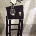 T044 Fresh - White Camellia