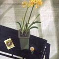 T045 The Golden Lycoris on the Desk