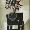 T053 Greetings - Camellia