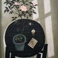 T054 Graceful - Pink Camellia