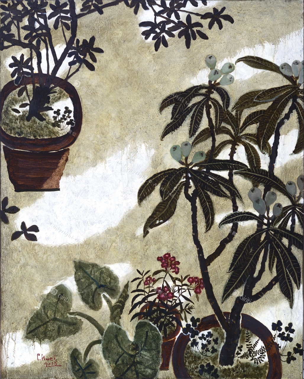 C061  花間對語 III- 石 竹.jpg