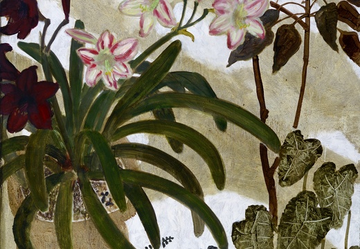 C066 Early Summer in Courtyard