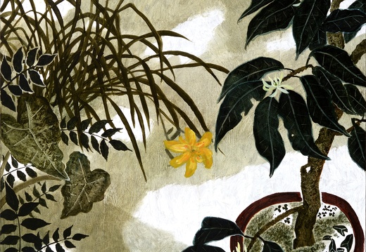 C067 Blooming in the Morning I - Magnolia